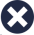 X_icon